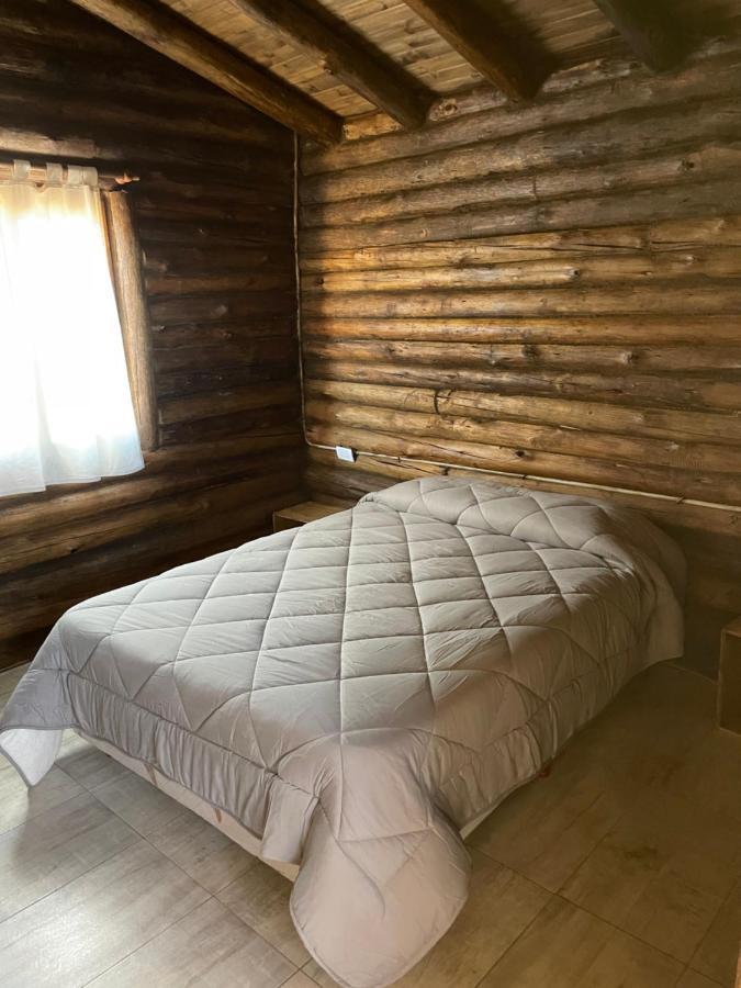 Cabanas Naol Uspallata Exteriér fotografie